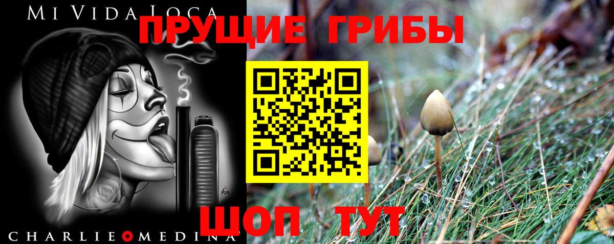 Жигулёвск  закладка  Вход с VPN  Галлюциногенные грибы прущие грибы 